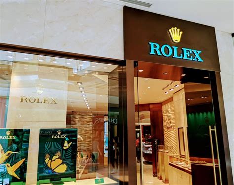 rolex dealers in florida